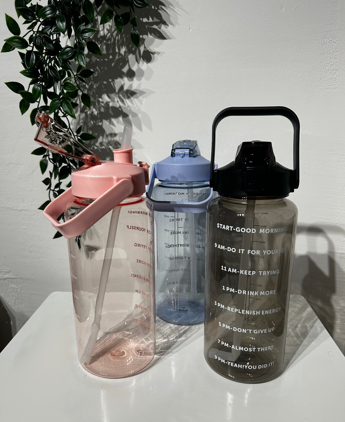 Waterbottles4you 2 litre Bottle with Time Marker and Straw, Motivational Water Bottle with Handle, Leakproof BPA FREE for School, Gym, Outdoor, Fitness - Brand New